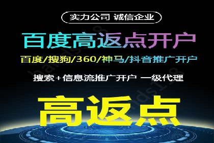 成功运用SEM服务实现品牌快速成长的案例